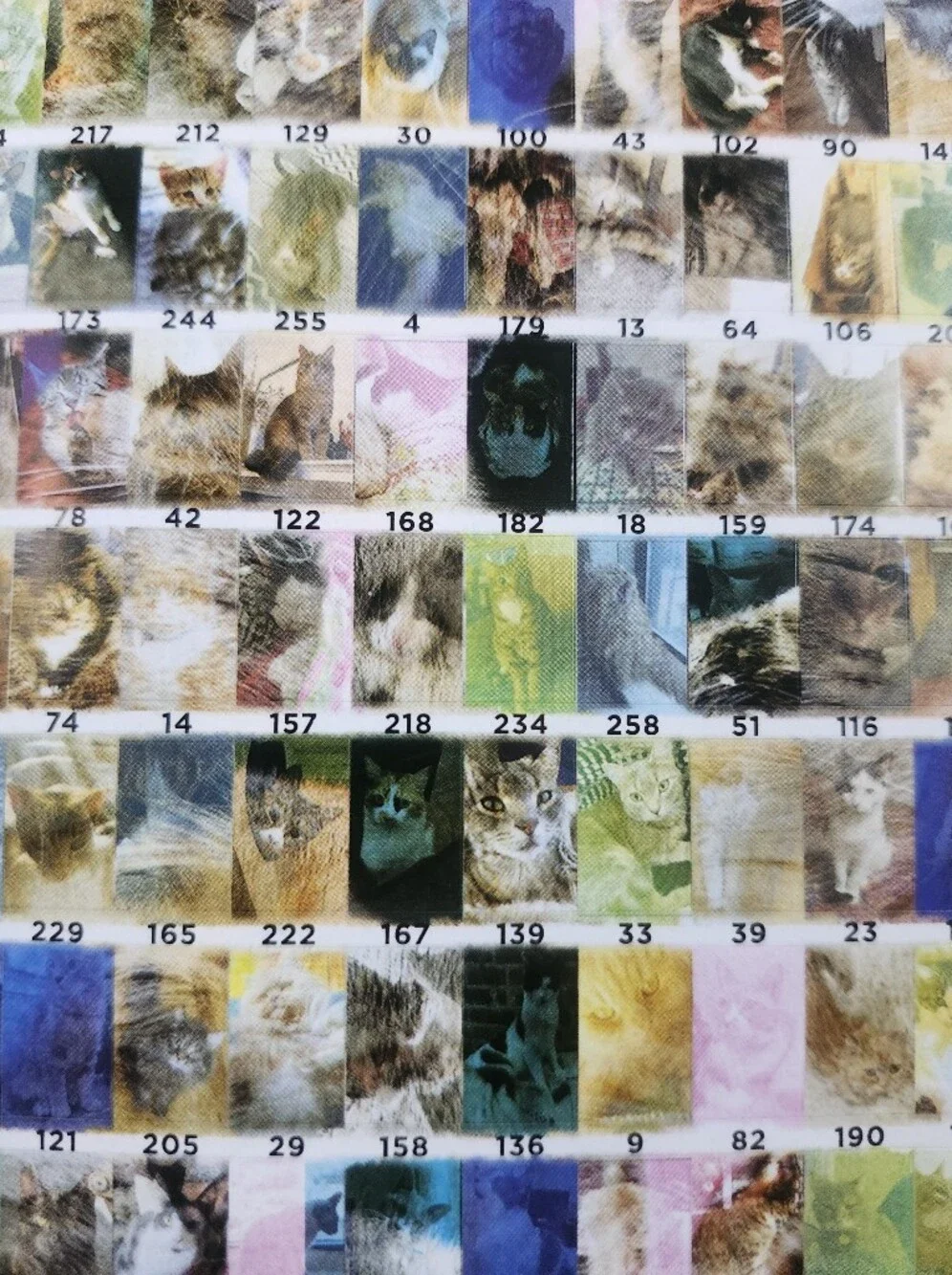 Kaleidoscope Nature & Cat Photo Sticker Mosaics  Sticker Art Kits (2 Books)